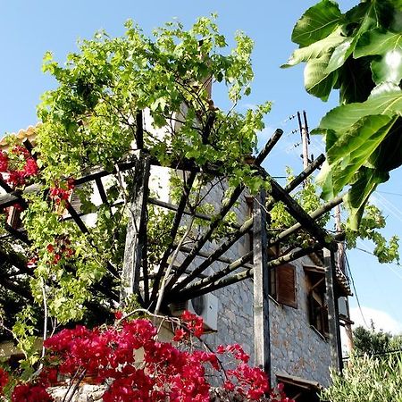 Papanestoras Apartments Kardamyli Exteriér fotografie