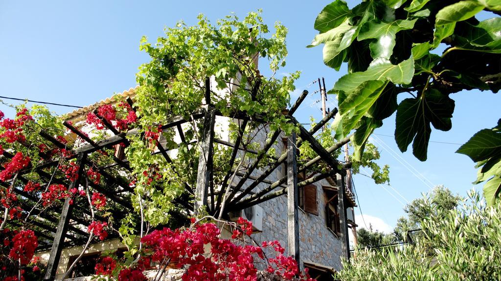 Papanestoras Apartments Kardamyli Exteriér fotografie